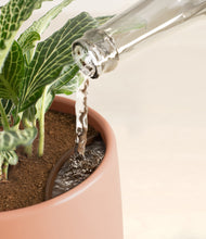 Load image into Gallery viewer, Calm Rose stand:all