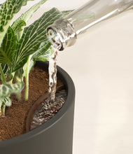 Load image into Gallery viewer, Dark Olive stand:all