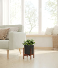 Load image into Gallery viewer, Black stand:walnut