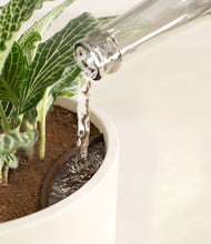 Load image into Gallery viewer, Cream stand:all