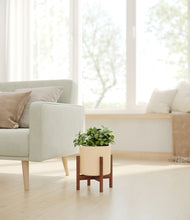 Load image into Gallery viewer, Cream stand:walnut