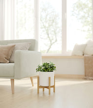 Load image into Gallery viewer, White stand:bamboo