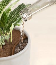 Load image into Gallery viewer, Hammered Ivory stand:all