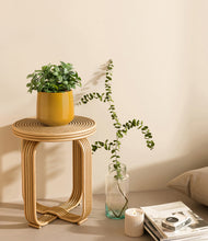 Load image into Gallery viewer, Mustard