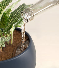 Load image into Gallery viewer, Deep Navy stand:all