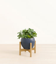 Load image into Gallery viewer, Deep Navy stand:bamboo