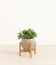 Load image into Gallery viewer, Desert Brown stand:bamboo