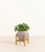 Load image into Gallery viewer, Winter Clouds stand:bamboo