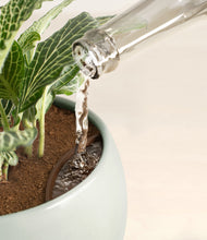 Load image into Gallery viewer, Deep Ocean stand:all