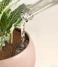 Load image into Gallery viewer, Calm Rose stand:all