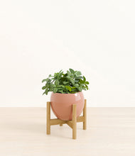 Load image into Gallery viewer, Calm Rose stand:bamboo