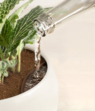 Load image into Gallery viewer, Shiny EggWhite stand:all