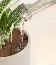 Load image into Gallery viewer, Snowdrift White stand:all