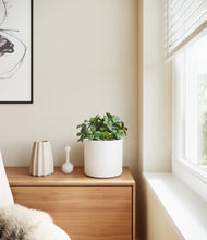 Load image into Gallery viewer, White