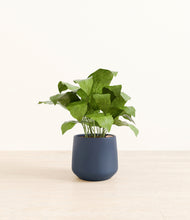 Load image into Gallery viewer, Deep Navy