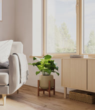 Load image into Gallery viewer, Olive stand:walnut