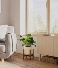 Load image into Gallery viewer, Almond Green stand:walnut