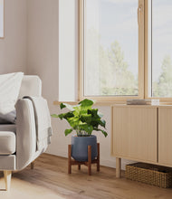 Load image into Gallery viewer, Deep Navy stand:walnut