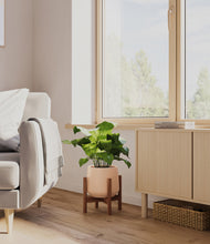 Load image into Gallery viewer, Gentle Pink stand:walnut