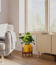 Load image into Gallery viewer, Mustard stand:walnut