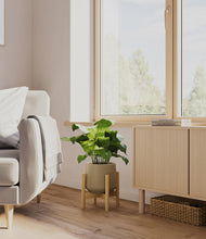 Load image into Gallery viewer, Olive stand:bamboo