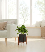 Load image into Gallery viewer, Black stand:walnut