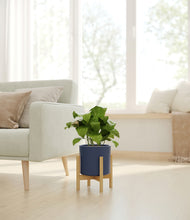 Load image into Gallery viewer, Deep Navy stand:bamboo