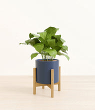 Load image into Gallery viewer, Deep Navy stand:bamboo