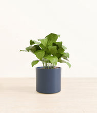 Load image into Gallery viewer, Deep Navy