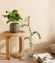 Load image into Gallery viewer, Olive