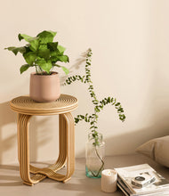 Load image into Gallery viewer, Gentle Pink