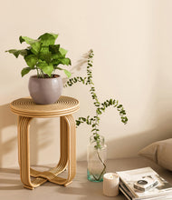 Load image into Gallery viewer, Winter Clouds