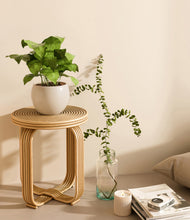 Load image into Gallery viewer, Shiny EggWhite