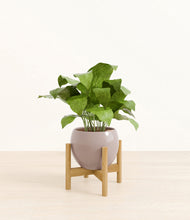 Load image into Gallery viewer, Winter Clouds stand:bamboo