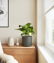 Load image into Gallery viewer, Dark Olive