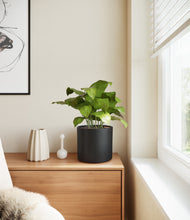 Load image into Gallery viewer, Black