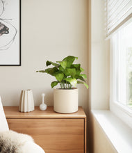 Load image into Gallery viewer, Cream