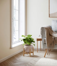 Load image into Gallery viewer, Desert Brown stand:bamboo