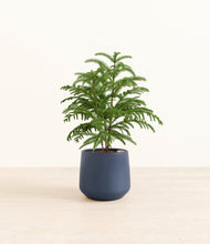 Load image into Gallery viewer, Deep Navy*****Profile