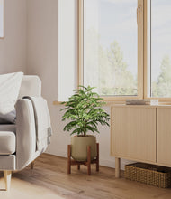 Load image into Gallery viewer, Olive stand:walnut