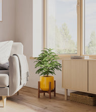 Load image into Gallery viewer, Mustard stand:walnut