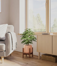 Load image into Gallery viewer, Calm Rose stand:walnut