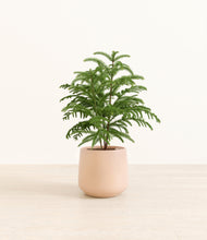 Load image into Gallery viewer, Gentle Pink*****Profile