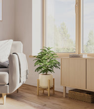 Load image into Gallery viewer, Almond Green stand:bamboo
