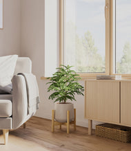 Load image into Gallery viewer, Eternal Gray stand:bamboo