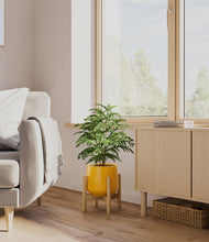 Load image into Gallery viewer, Mustard stand:bamboo