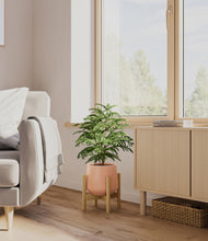 Load image into Gallery viewer, Calm Rose stand:bamboo