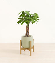 Load image into Gallery viewer, Turquoise stand:bamboo