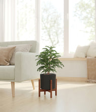 Load image into Gallery viewer, Black stand:walnut