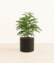 Load image into Gallery viewer, Black*****Profile